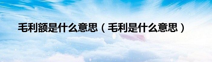 毛利额是什么意思（毛利是什么意思）