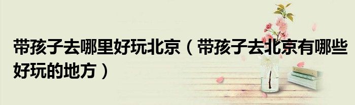 带孩子去哪里好玩北京（带孩子去北京有哪些好玩的地方）
