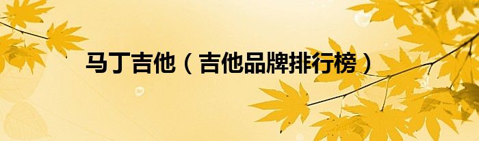 马丁吉他（吉他品牌排行榜）