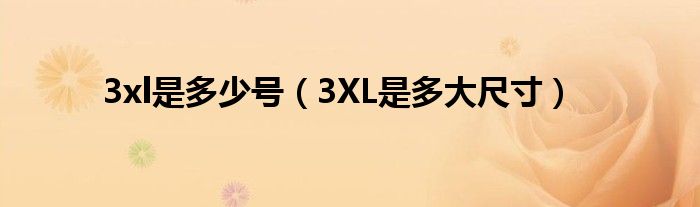 3xl是多少号（3XL是多大尺寸）