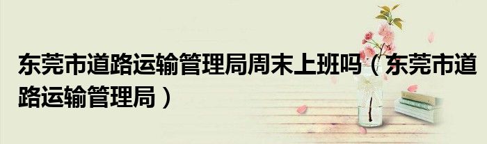 东莞市道路运输管理局周末上班吗（东莞市道路运输管理局）