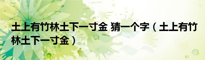 土上有竹林土下一寸金 猜一个字（土上有竹林土下一寸金）