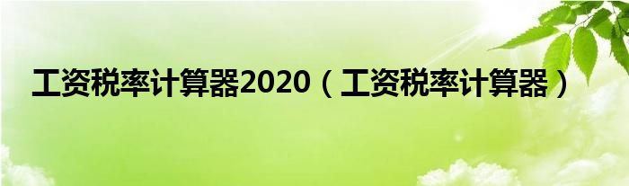 工资税率计算器2020（工资税率计算器）