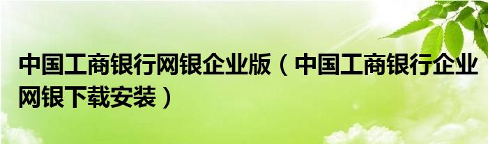 中国工商银行网银企业版（中国工商银行企业网银下载安装）