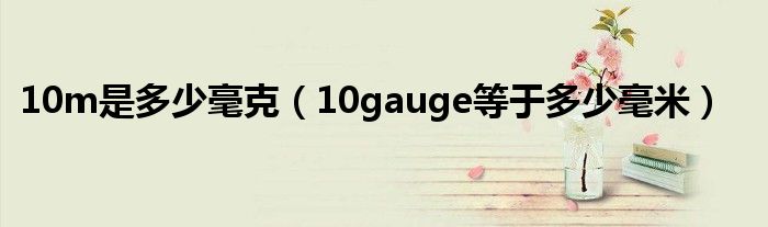 10m是多少毫克（10gauge等于多少毫米）