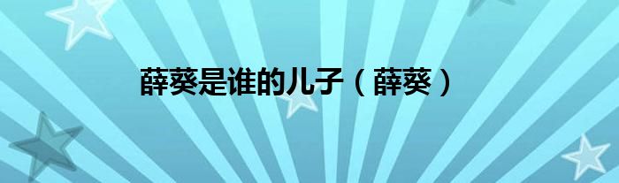 薛葵是谁的儿子（薛葵）