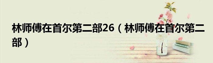 林师傅在首尔第二部26（林师傅在首尔第二部）