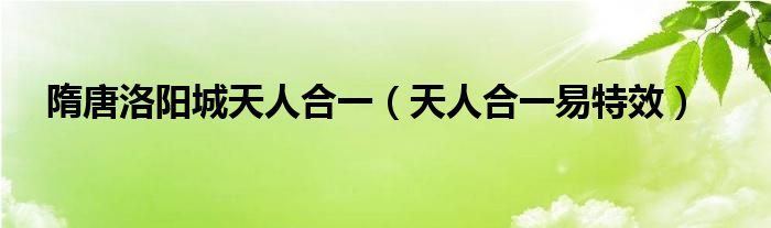 隋唐洛阳城天人合一（天人合一易特效）