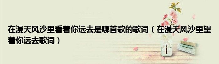 在漫天风沙里看着你远去是哪首歌的歌词（在漫天风沙里望着你远去歌词）
