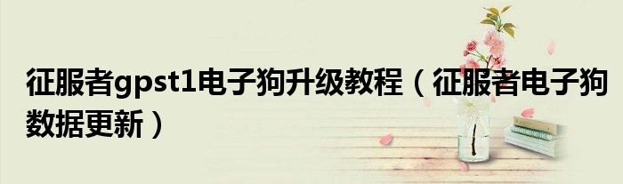 征服者gpst1电子狗升级教程（征服者电子狗数据更新）
