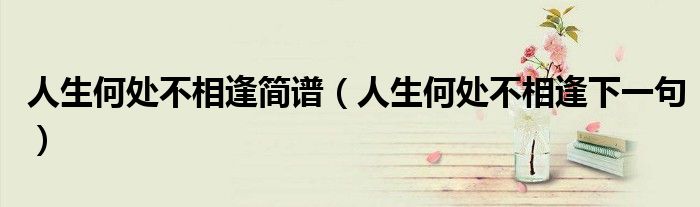 人生何处不相逢简谱（人生何处不相逢下一句）