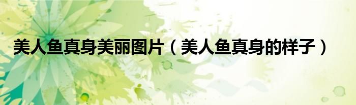 美人鱼真身美丽图片（美人鱼真身的样子）