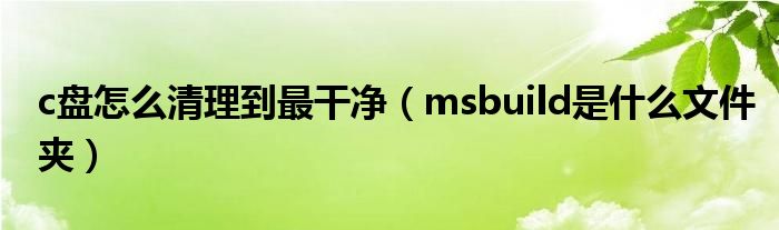 c盘怎么清理到最干净（msbuild是什么文件夹）