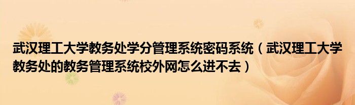 武汉理工大学教务处学分管理系统密码系统（武汉理工大学教务处的教务管理系统校外网怎么进不去）