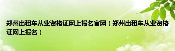 郑州出租车从业资格证网上报名官网（郑州出租车从业资格证网上报名）