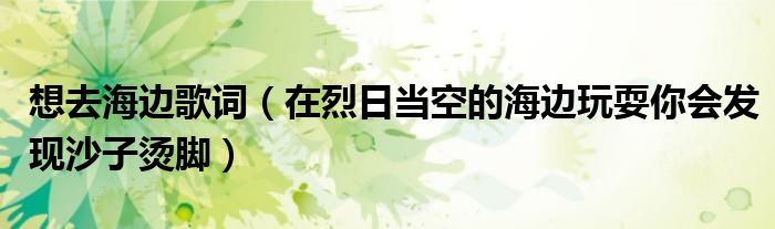 想去海边歌词（在烈日当空的海边玩耍你会发现沙子烫脚）