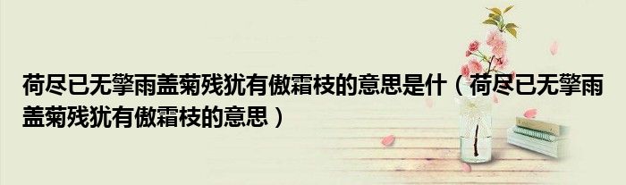 荷尽已无擎雨盖菊残犹有傲霜枝的意思是什（荷尽已无擎雨盖菊残犹有傲霜枝的意思）