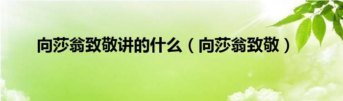 向莎翁致敬讲的什么（向莎翁致敬）