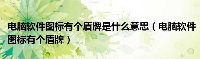 电脑软件图标有个盾牌是什么意思（电脑软件图标有个盾牌）