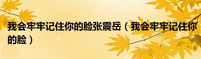 我会牢牢记住你的脸张震岳（我会牢牢记住你的脸）