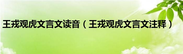 王戎观虎文言文读音（王戎观虎文言文注释）