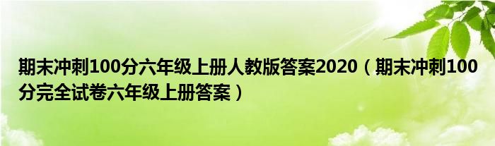 期末冲刺100分六年级上册人教版答案2020（期末冲刺100分完全试卷六年级上册答案）