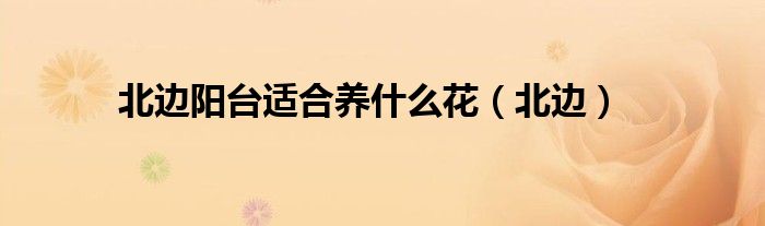 北边阳台适合养什么花（北边）