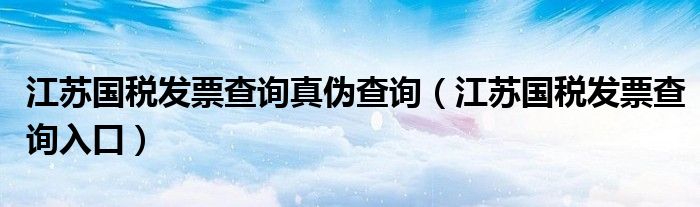江苏国税发票查询真伪查询（江苏国税发票查询入口）