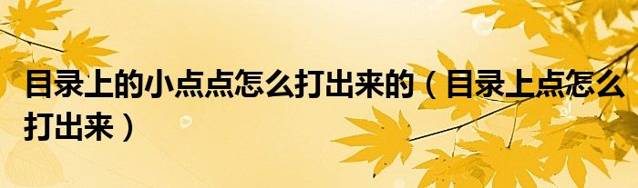 目录上的小点点怎么打出来的（目录上点怎么打出来）