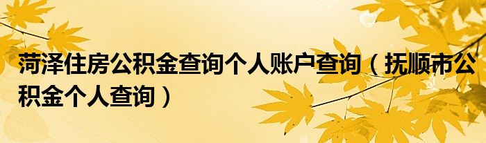 菏泽住房公积金查询个人账户查询（抚顺市公积金个人查询）
