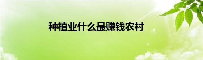 种植业什么最赚钱农村