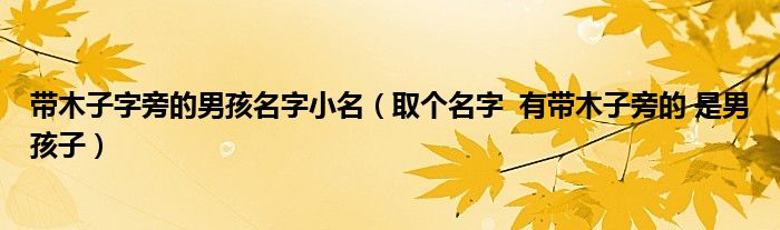 带木子字旁的男孩名字小名（取个名字  有带木子旁的 是男孩子）