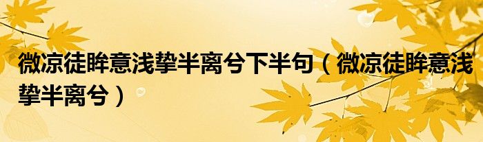 微凉徒眸意浅挚半离兮下半句（微凉徒眸意浅挚半离兮）