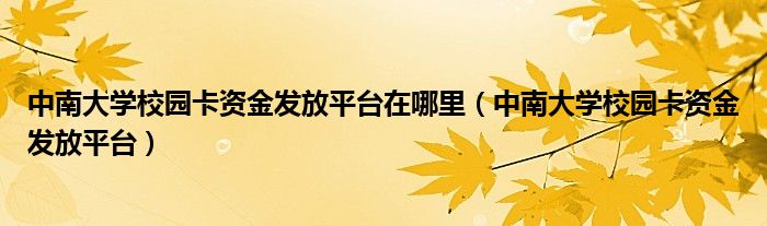 中南大学校园卡资金发放平台在哪里（中南大学校园卡资金发放平台）