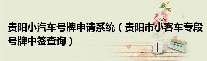 贵阳小汽车号牌申请系统（贵阳市小客车专段号牌中签查询）