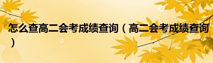 怎么查高二会考成绩查询（高二会考成绩查询）