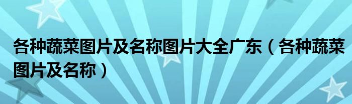 各种蔬菜图片及名称图片大全广东（各种蔬菜图片及名称）