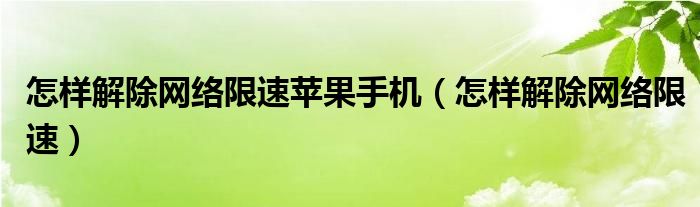 怎样解除网络限速苹果手机（怎样解除网络限速）