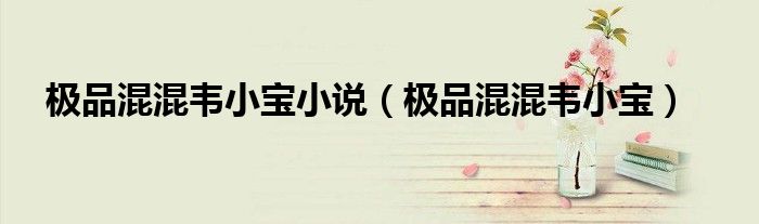极品混混韦小宝小说（极品混混韦小宝）