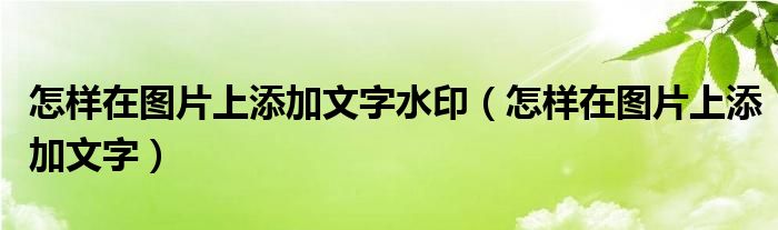 怎样在图片上添加文字水印（怎样在图片上添加文字）