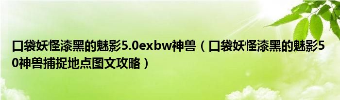 口袋妖怪漆黑的魅影5.0exbw神兽（口袋妖怪漆黑的魅影5 0神兽捕捉地点图文攻略）