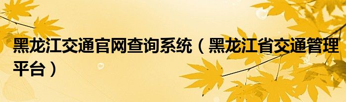 黑龙江交通官网查询系统（黑龙江省交通管理平台）