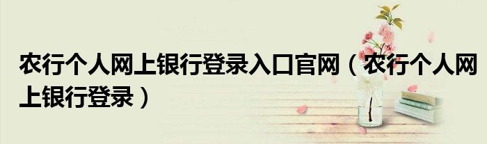 农行个人网上银行登录入口官网（农行个人网上银行登录）