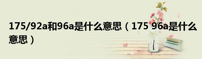 175/92a和96a是什么意思（175 96a是什么意思）