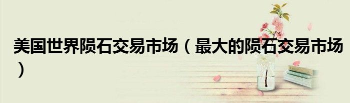 美国世界陨石交易市场（最大的陨石交易市场）