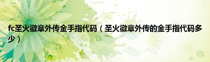 fc圣火徽章外传金手指代码（圣火徽章外传的金手指代码多少）