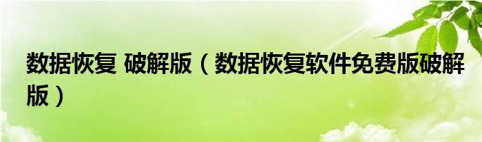 数据恢复 破解版（数据恢复软件免费版破解版）