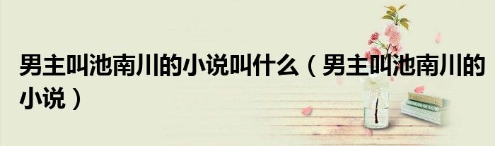 男主叫池南川的小说叫什么（男主叫池南川的小说）