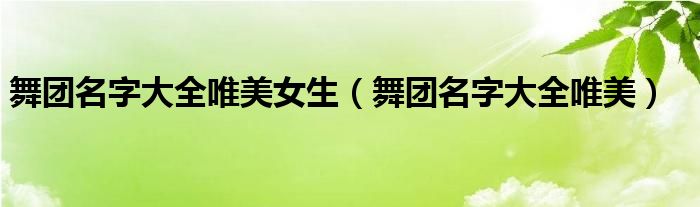 舞团名字大全唯美女生（舞团名字大全唯美）