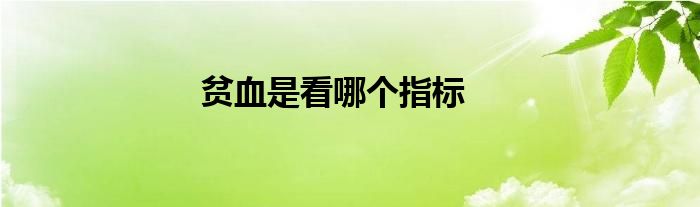 贫血是看哪个指标